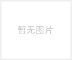 MOELX 12针贴片 针座52808-1270